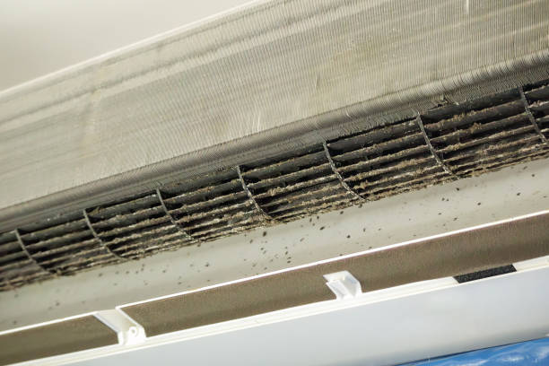 Best Professional Duct Cleaning Services  in Maryville, MO